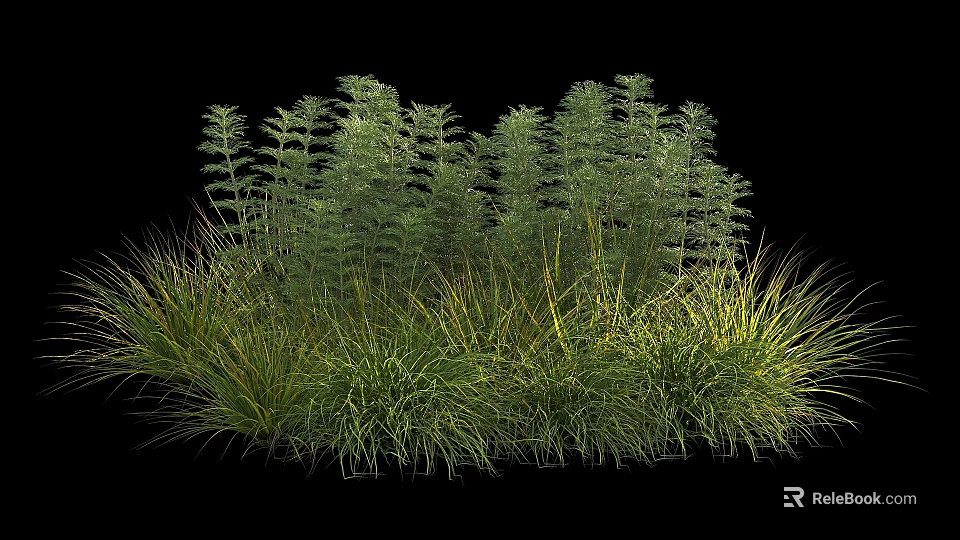 Lush Green Shrubs With Feathery Foliage And Grasses In Garden Landscape Design 3d model 