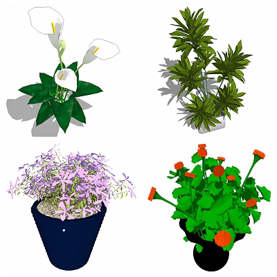 Modern potted flowers and plants cultivation 3d model