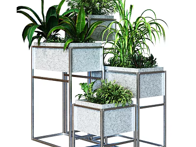 Modern Floral Display With Metal Frame Plant Stands And Various Green Plants 3d model