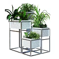 Modern Floral Display With Metal Frame Plant Stands And Various Green Plants