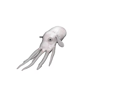 White Marine Octopus Aquatic Animal With Long Tentacles And Distinctive Eyes 3d model
