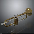 Golden Brass Trumpet with Shiny Keys and Reflection as Household Decorative Item