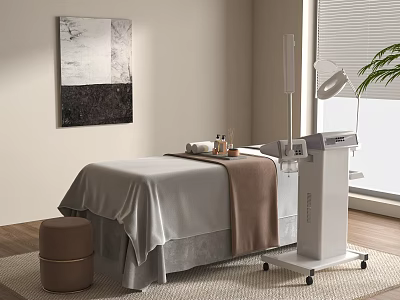 Serene Beauty Treatment Room With Massage Bed Linen Blanket Abstract Painting And Green Plant 3d model