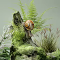 Hanging Basket Plants With Snail On Branch And Green Fern Foliage