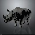 Gray Horned Rhinoceros With Rough Skin Standing On Dark Reflective Surface