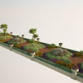 Roadside Green Belt Facilities With Various Plants Flowers Trees Stone Pots And Low Walls