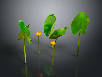 Plants With Large Green Leaves And Small Yellow Flowers On Green Stems 3d model