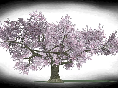 Pink Blossom Tree With Wooden Trunk And Green Grass On Gray Background 3d model