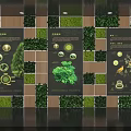 Indoor Display Area Featuring Green Plant Walls And Plant Illustration Information Boards
