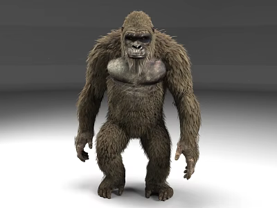 Gorilla 3d model