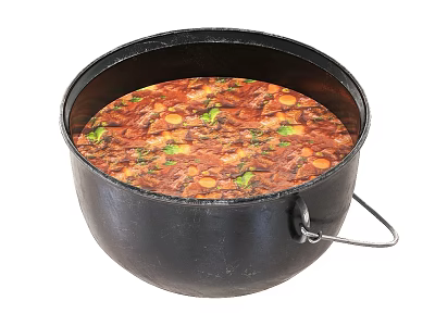 Rich Colored Stew In Black Pot With Green Herbs And Orange Vegetables 3d model