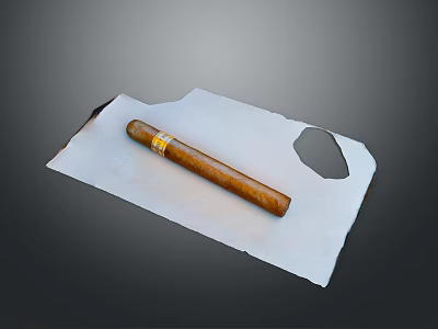 Light Brown Cigar Placed On White Paper With Circular Hole Design 3d model