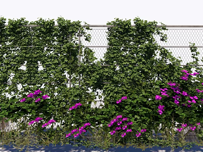 Green Vines Covering Chain Link Fence With Purple Flowers And Lush Foliage 3d model