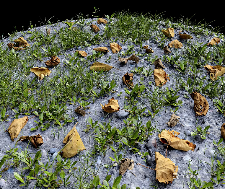 Natural Outdoor Scenery With Withered Yellow Leaves Green Grass And Frosty Ground 3d model 