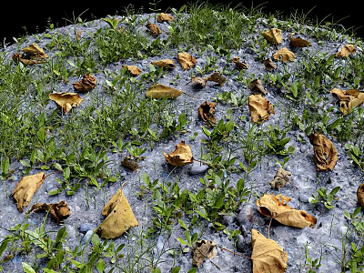 grass leaf fall 3d model