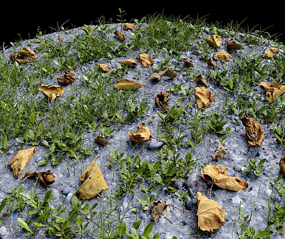 Natural Outdoor Scenery With Withered Yellow Leaves Green Grass And Frosty Ground 3d model