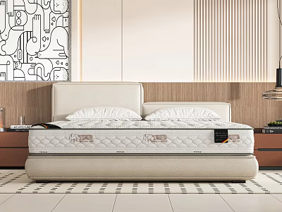Modern Double Bed With Comfortable Mattress Light Colored Headboard And Wooden Panel Wall 3d model