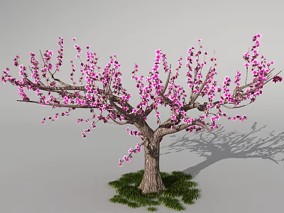 Lush Outdoor Flowering Arbor With Pink Blossoms Tree Trunk Green Grass And Shadow 3d model