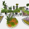Various Bonsai and Potted Plants with Palm Ferns Colorful Flowers and Decorative Planters