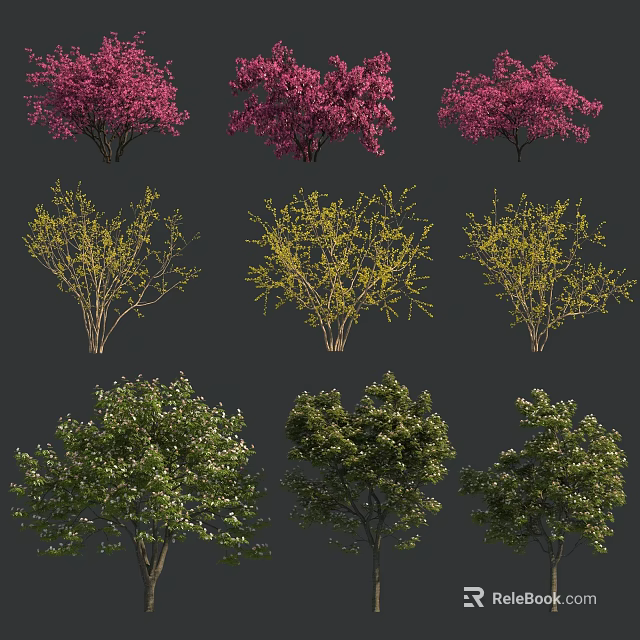 Various Types of Shrubs Featuring Pink Flowering Yellow Branch and Green White Bloom Varieties 3d model 