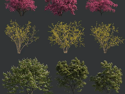 Various Types of Shrubs Featuring Pink Flowering Yellow Branch and Green White Bloom Varieties 3d model