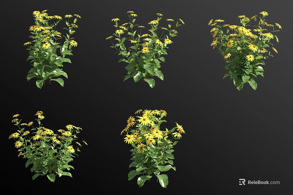Yellow Flowering Plants With Green Leaves Displayed In Multiple Views 3d model 