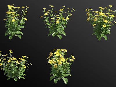 Yellow Flowering Plants With Green Leaves Displayed In Multiple Views 3d model
