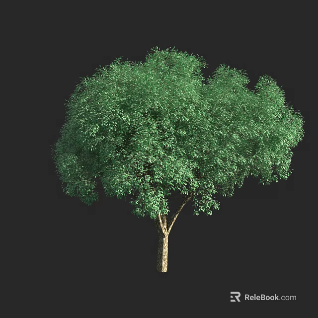 Lush Green Arbor With Dense Foliage And Sturdy Brown Trunk 3d model