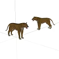 Two Brown Lions Standing With Open Mouths In Realistic 3D Rendering 3d model