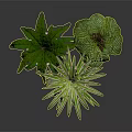Potted Green Plants In Speckled Pots On Wooden Tripod Stand With Dark Reflective Surface Arrangement