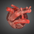 The Modern Heart 3d model