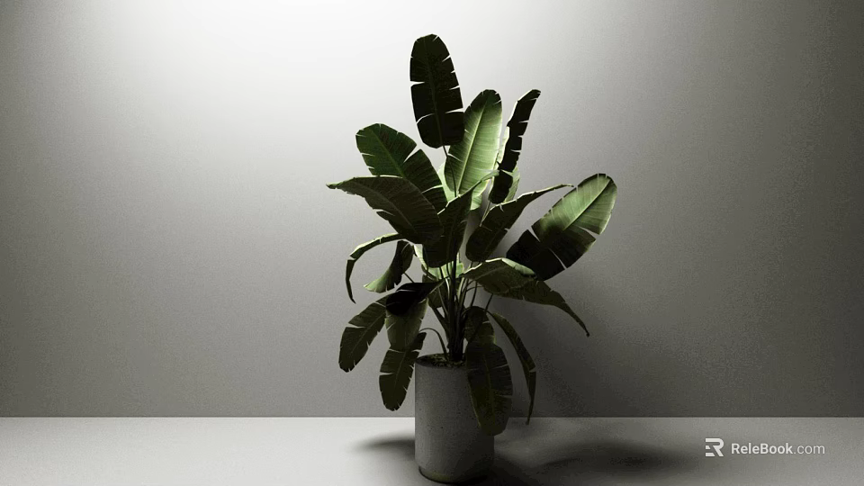 Large Leaf Potted Plant In Minimalist Gray Pot For Modern Indoor Decor 3d model 