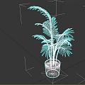 Green Tropical Plant With Feathery Leaves In Brown Pot On White Background