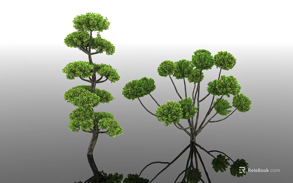 Green Decorative Shrubs With Different Shapes And Clear Reflections In Garden 3d model