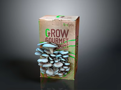 Grow Gourmet Fresh Mushrooms Growing Kit With Clusters For Organic Home Cultivation 3d model
