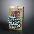 Grow Gourmet Fresh Mushrooms Growing Kit With Clusters For Organic Home Cultivation
