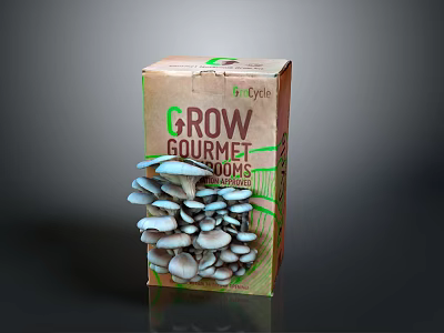 Mushrooms, straw mushrooms, poisonous mushrooms, plant mushrooms, mushrooms, ganoderma lucidum, tree mushrooms, vegetables, fruits and vegetables 3d model