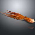 Orange Squid With Long Tentacles Isolated On Gray Background With Reflection 3d model