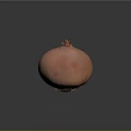Fresh Pink Onion With Cracked Skin On Dark Background Close Up View