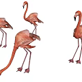 Modern Flamingo 3d model