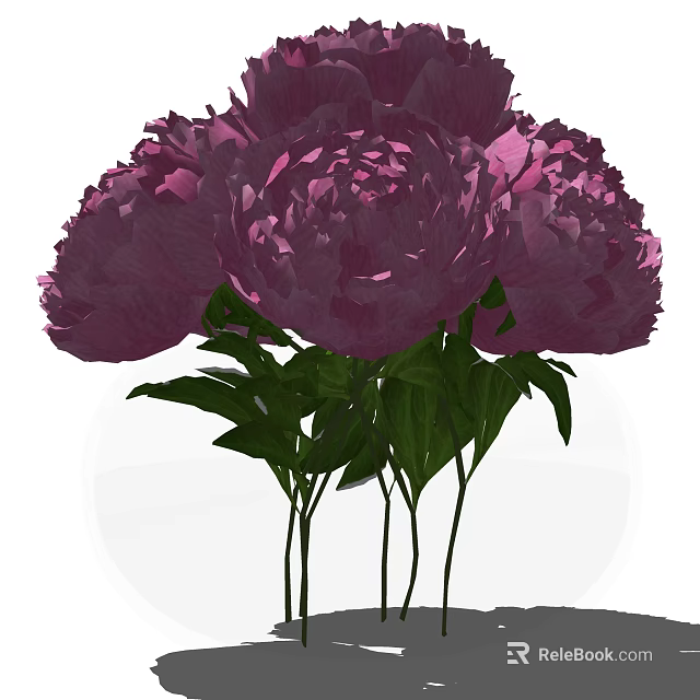 Beautiful Purple Peonies in Clear Glass Vase with Fresh Green Leaves 3d model 