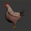 Pink Chicken with Red Comb Grey Tail Feathers Spread Wings and Yellow Feet Standing