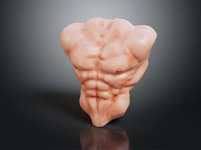 Muscular Torso Model With Well Defined Abdominal Muscles And Chest Muscles 3d model