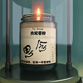 Modern Minimalist Decorative Ornament Set With Glass Cloche Candle Black Vase And Reeds