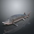 Realistic 3D Rendered Sturgeon Model With Detailed Scales And Long Snout
