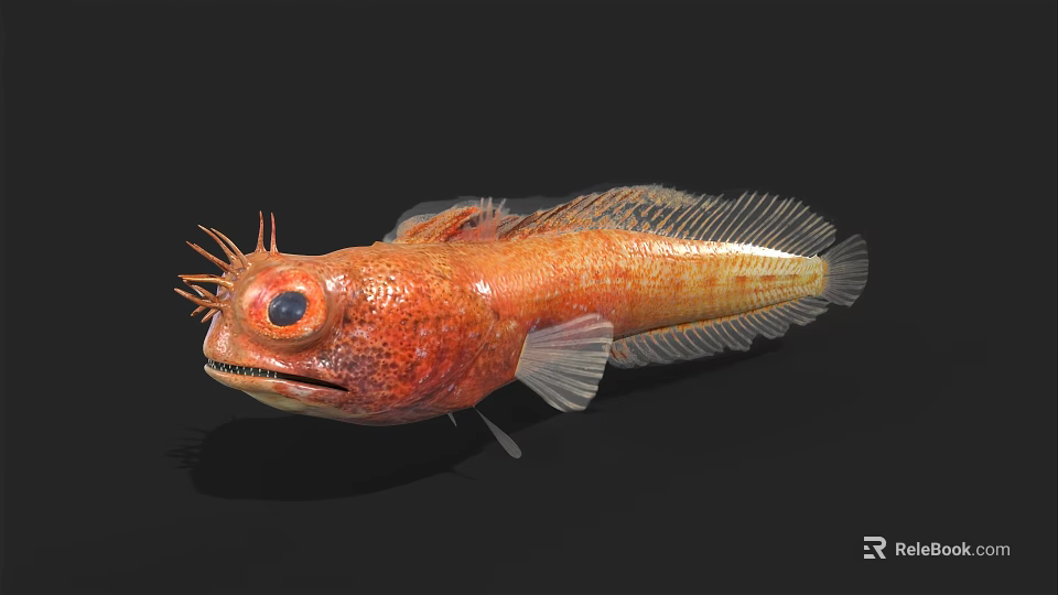 Orange Aquatic Fish With Large Eyes Textured Body And Distinctive Fins 3d model 