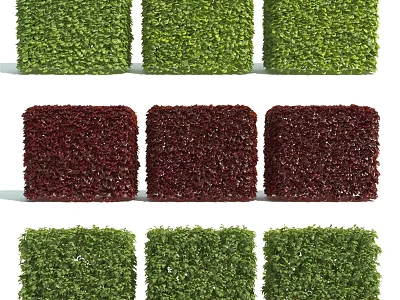 Square Shaped Green and Dark Red Bushes for Garden Landscaping Decoration 3d model