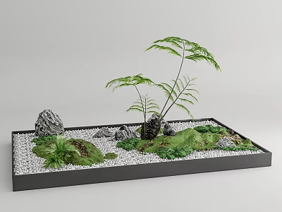 Miniature Garden Display With Fern Plants Stones Moss And White Pebbles In Black Tray 3d model