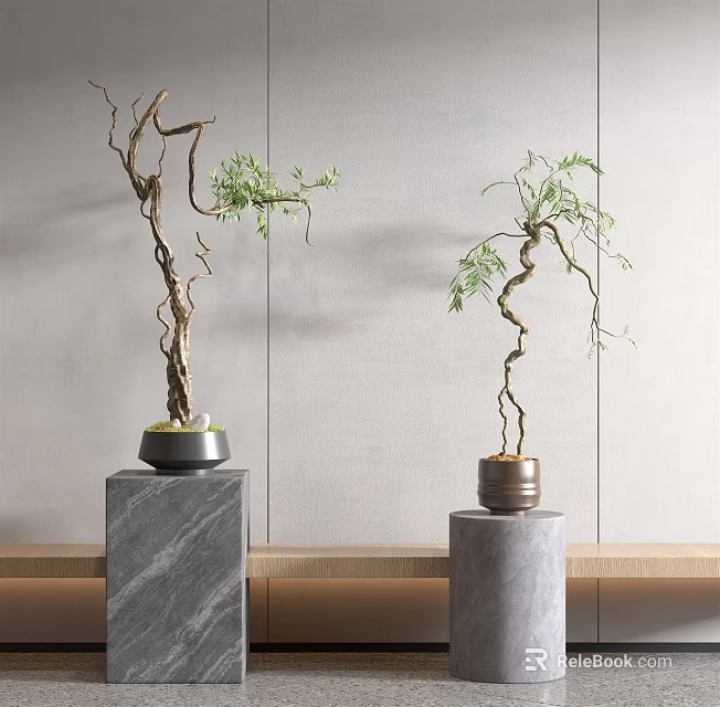 Bonsai Plants With Twisted Branches And Green Leaves On Stone Pedestals 3d model 