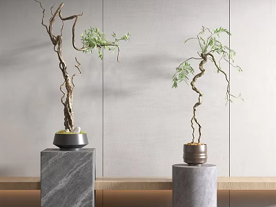 Bonsai Plants With Twisted Branches And Green Leaves On Stone Pedestals 3d model